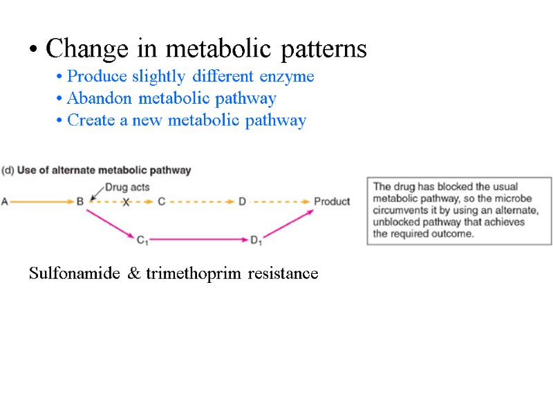 Change in metabolic patterns  Produce slightly different enzyme  Abandon metabolic pathway 